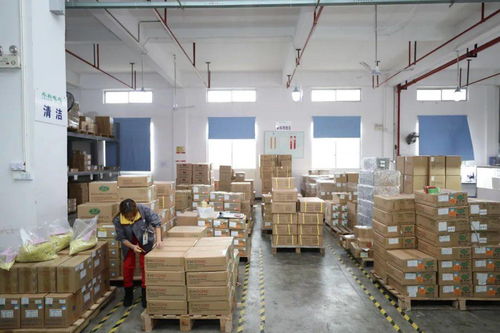 家門口的機遇 賓陽電子廠招工，提供食宿，探索互聯網銷售新方向